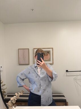 Zara Blue and White Striped Embroidered Button-Down Shirt